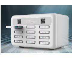 S-1 Power bank Station