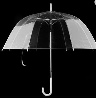 Clear Automatic Umbrella