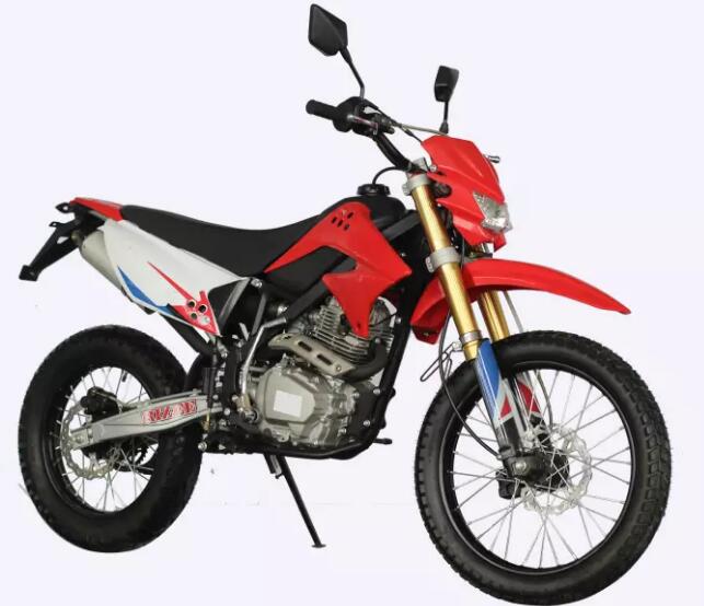 Dirt bike D1